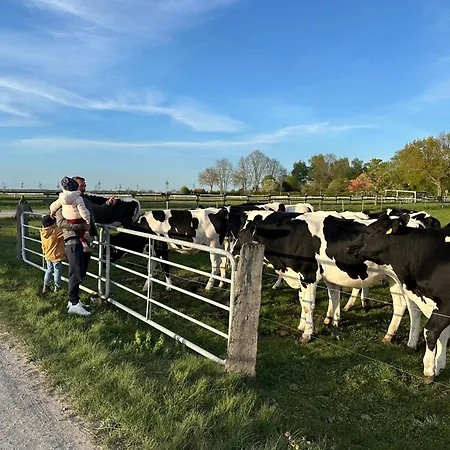Auf Dem Land